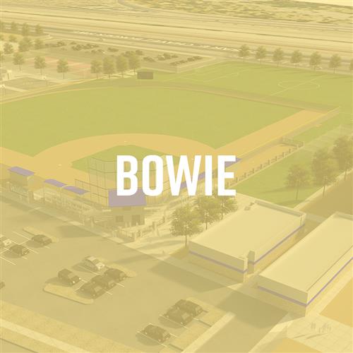 Bowie 